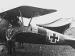 Albatros D.V Heinrich Gontermann - Jasta 15 (Greg VanWynGarden) 1